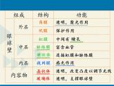 苏教版生物七年级下册 第十二章 第三节 人体感知信息（课件）