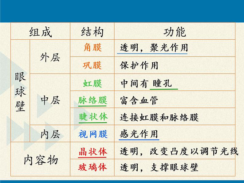 苏教版生物七年级下册 第十二章 第三节 人体感知信息（课件）05