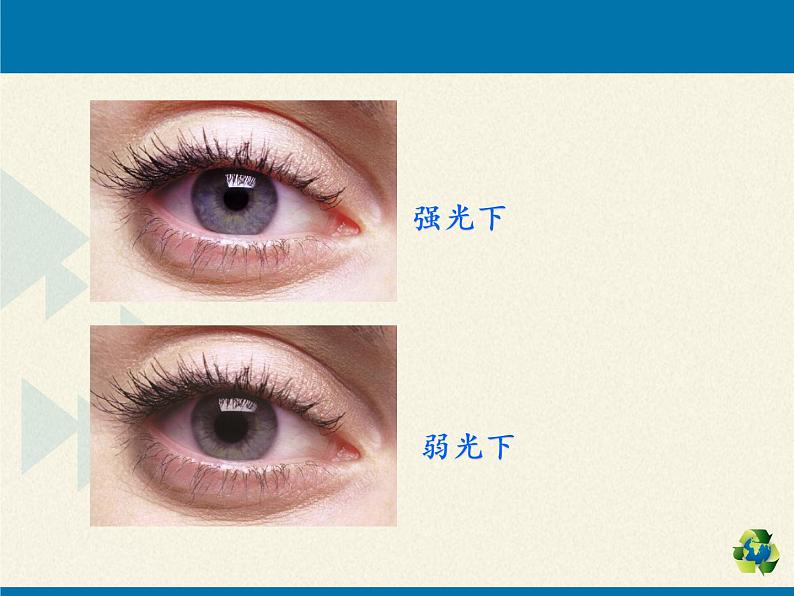 苏教版生物七年级下册 第十二章 第三节 人体感知信息（课件）07