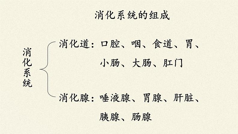 苏教版生物七年级下册 第九章 第二节 人体的消化与吸收(8)（课件）第4页