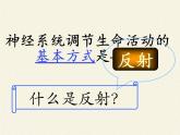 苏教版生物七年级下册 第十二章 第二节 人体的神经调节(3)（课件）