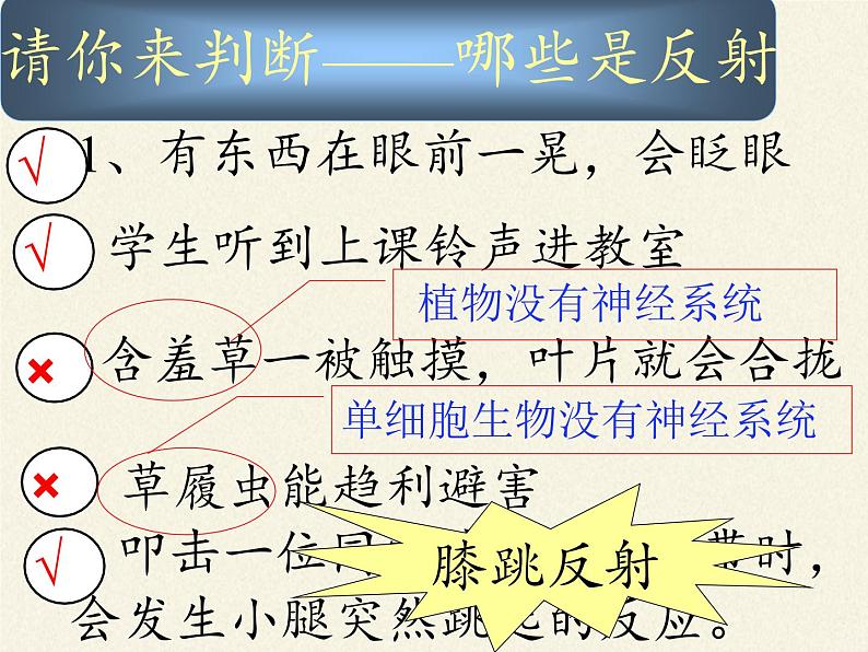 苏教版生物七年级下册 第十二章 第二节 人体的神经调节(3)（课件）05