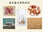 苏教版生物七年级下册 第九章 第一节 人体需要的主要营养物质(7)（课件）