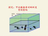 苏教版生物七年级下册 第十二章 第一节 人体的激素调节(24)（课件）