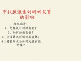 苏教版生物七年级下册 第十二章 第一节 人体的激素调节(24)（课件）