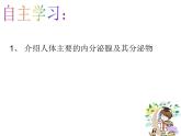 苏教版生物七年级下册 第十二章 第一节 人体的激素调节（课件）