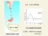 苏教版生物七年级下册 第十二章 第一节 人体的激素调节(19)（课件）