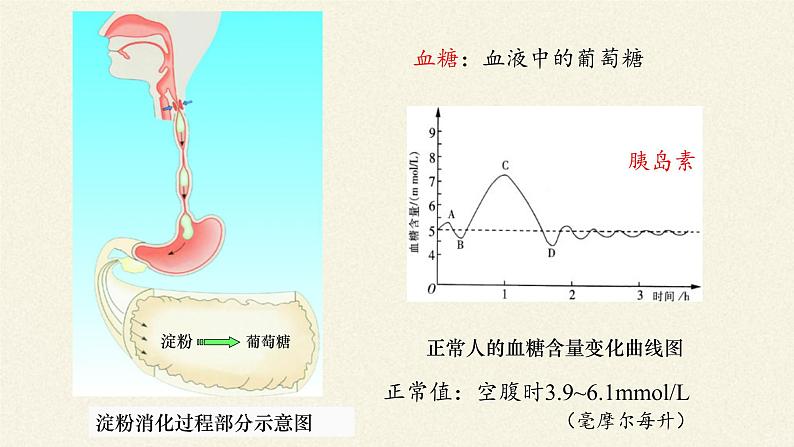 苏教版生物七年级下册 第十二章 第一节 人体的激素调节(19)（课件）第2页