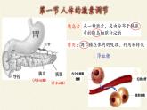 苏教版生物七年级下册 第十二章 第一节 人体的激素调节(19)（课件）