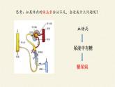 苏教版生物七年级下册 第十二章 第一节 人体的激素调节(19)（课件）
