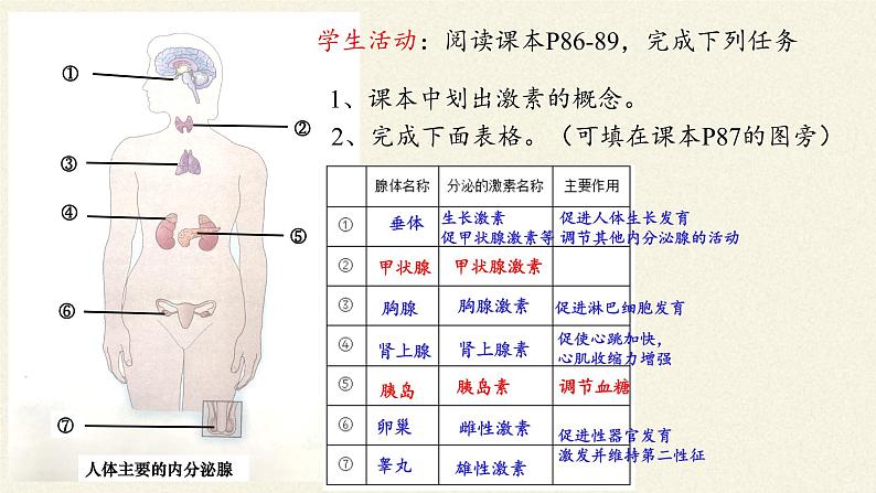 苏教版生物七年级下册 第十二章 第一节 人体的激素调节(19)（课件）第5页