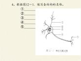 苏教版生物七年级下册 第十二章 第二节 人体的神经调节(7)（课件）