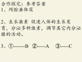 苏教版生物七年级下册 第十二章 第一节 人体的激素调节(20)（课件）