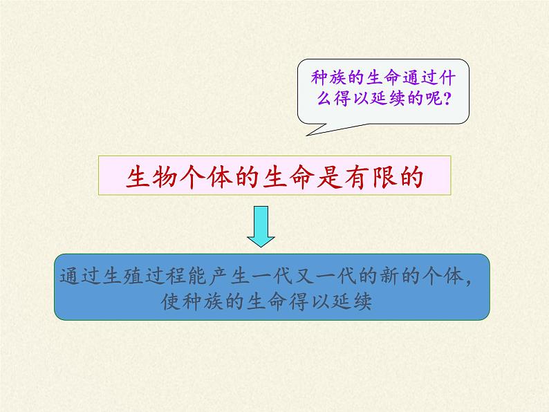 苏教版生物七年级下册 第八章 第一节 精卵结合孕育新的生命(2)（课件）02