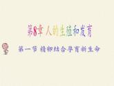 蘇教版生物七年級(jí)下冊(cè) 第八章 第一節(jié) 精卵結(jié)合孕育新的生命(2)（課件）