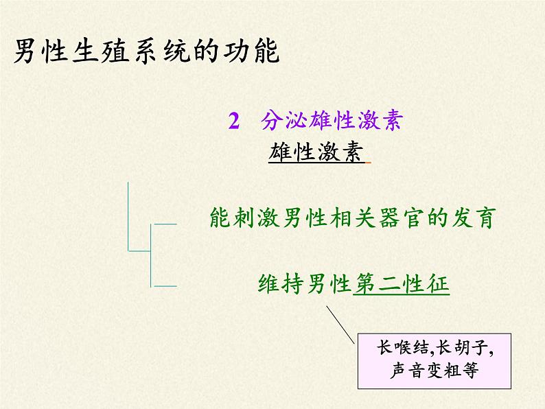 苏教版生物七年级下册 第八章 第一节 精卵结合孕育新的生命(2)（课件）07