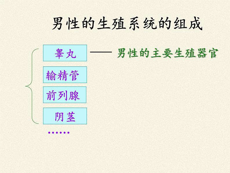 苏教版生物七年级下册 第八章 第一节 精卵结合孕育新的生命(2)（课件）08