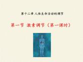 苏教版生物七年级下册 第十二章 第一节 人体的激素调节(14)（课件）
