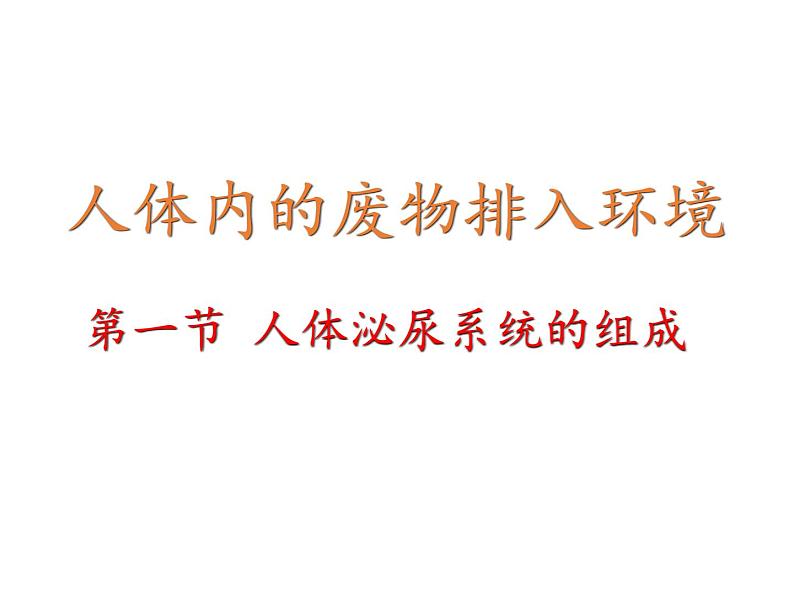 苏教版生物七年级下册 第十一章 第一节 人体泌尿系统的组成(6)（课件）02