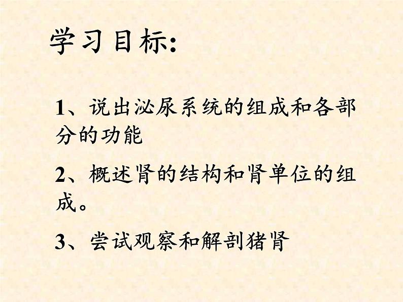 苏教版生物七年级下册 第十一章 第一节 人体泌尿系统的组成(6)（课件）05