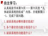 苏教版生物七年级下册 第十一章 第一节 人体泌尿系统的组成 (2)（课件）