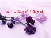 苏教版生物七年级下册 第十章 第四节 人体内的气体交换(3)（课件）
