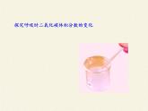 苏教版生物七年级下册 第十章 第四节 人体内的气体交换(3)（课件）