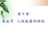 苏教版生物七年级下册 第十章 第五节 人体能量的供给(10)（课件）