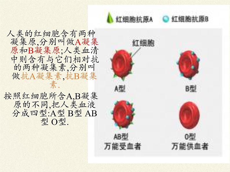 苏教版生物七年级下册 第十章 第一节 血液和血型(6)（课件）第7页