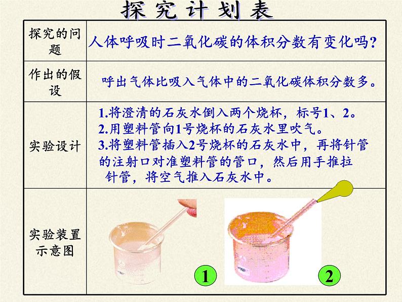 苏教版生物七年级下册 第十章 第四节 人体内的气体交换(8)（课件）03