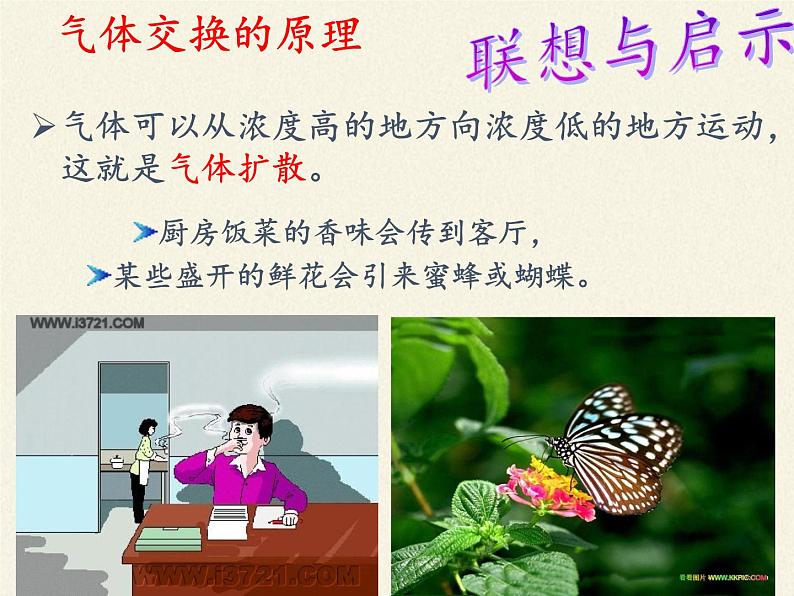 苏教版生物七年级下册 第十章 第四节 人体内的气体交换(8)（课件）07