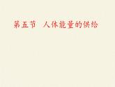 苏教版生物七年级下册 第十章 第五节 人体能量的供给(8)（课件）