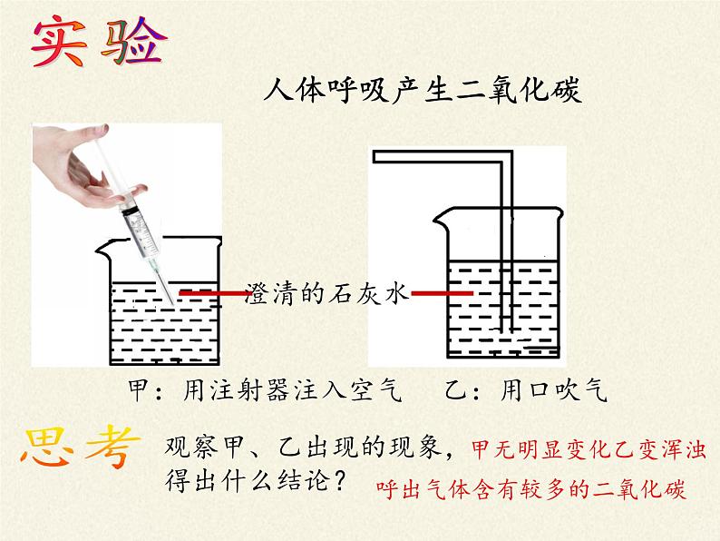 苏教版生物七年级下册 第十章 第四节 人体内的气体交换(4)（课件）第7页