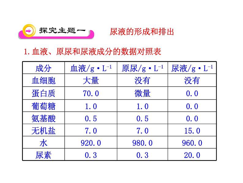 苏教版生物七年级下册 第十一章 第二节 人体废物的排出_1（课件）04