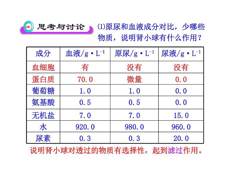 苏教版生物七年级下册 第十一章 第二节 人体废物的排出_1（课件）05