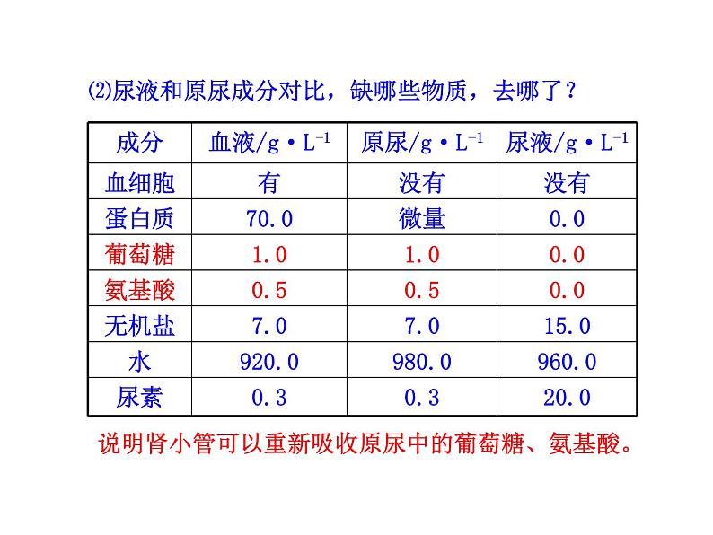 苏教版生物七年级下册 第十一章 第二节 人体废物的排出_1（课件）06