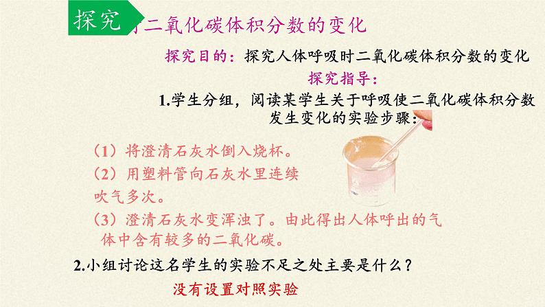 苏教版生物七年级下册 第十章 第四节 人体内的气体交换(1)（课件）第6页