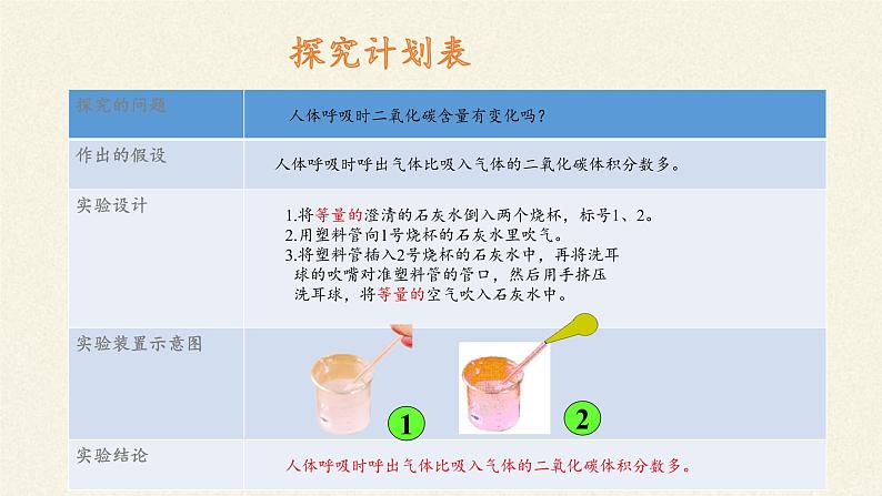 苏教版生物七年级下册 第十章 第四节 人体内的气体交换(1)（课件）第8页