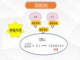 苏教版生物七年级下册 第十章 第五节 人体能量的供给(5)（课件）