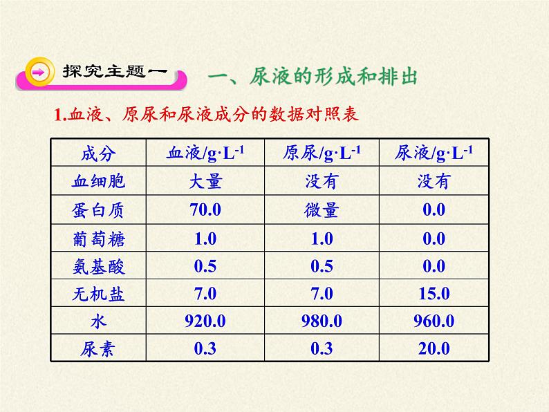 苏教版生物七年级下册 第十一章 第二节 人体废物的排出(10)（课件）04