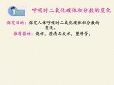 苏教版生物七年级下册 第十章 第四节 人体内的气体交换(9)（课件）