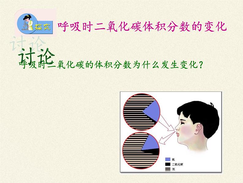 苏教版生物七年级下册 第十章 第四节 人体内的气体交换(9)（课件）第5页