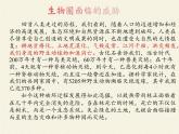 苏教版生物七年级下册 第十三章 第二节 保护生物圈——从自身做起(8)（课件）