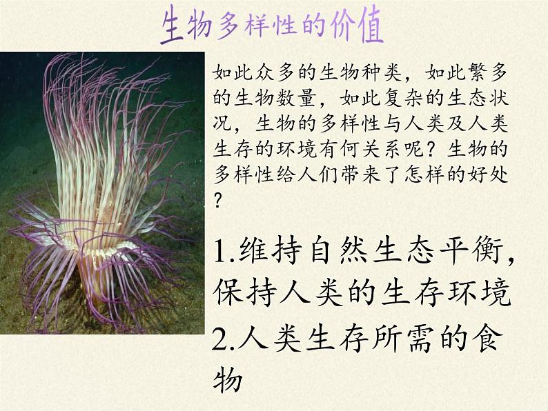 苏教版生物七年级下册 第十三章 第二节 保护生物圈——从自身做起(8)（课件）第6页