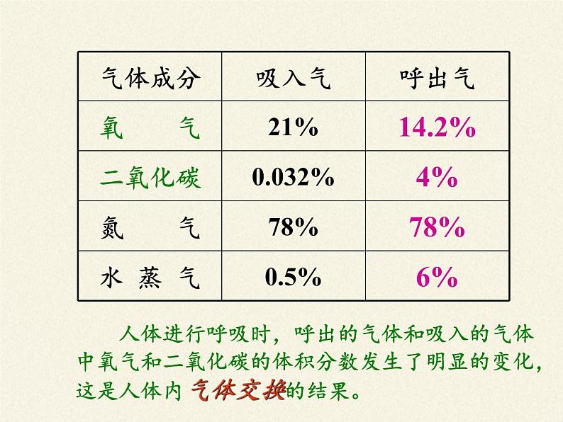 苏教版生物七年级下册 第十章 第四节 人体内的气体交换(2)（课件）第8页