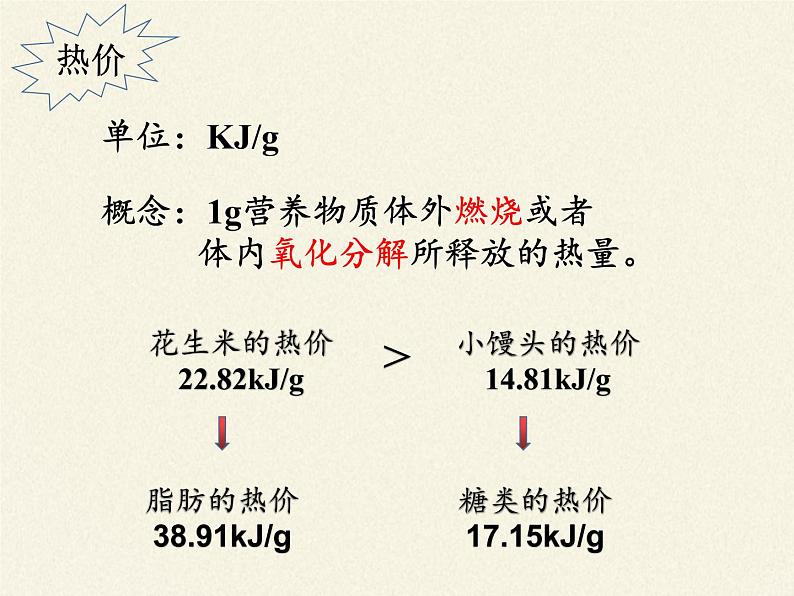 苏教版生物七年级下册 第十章 第五节 人体能量的供给(11)（课件）第4页