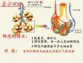 苏教版生物七年级下册 第十章 第四节 人体内的气体交换（课件）