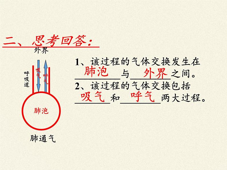 苏教版生物七年级下册 第十章 第四节 人体内的气体交换（课件）第3页