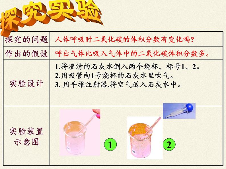 苏教版生物七年级下册 第十章 第四节 人体内的气体交换（课件）第6页