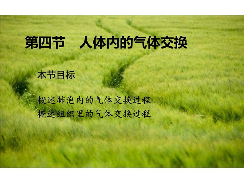 苏教版生物七年级下册 第十章 第四节 人体内的气体交换（课件）第1页